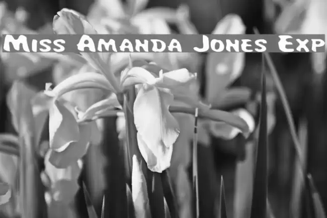 Miss Amanda Jones Exp Font examples