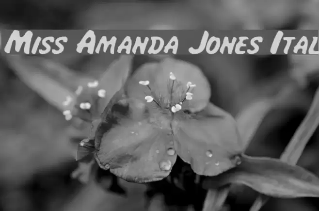 Miss Amanda Jones Ital Font examples