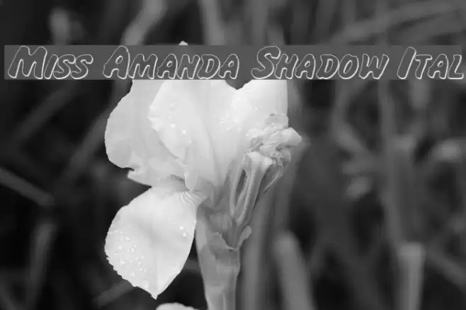 Miss Amanda Shadow Ital Font examples