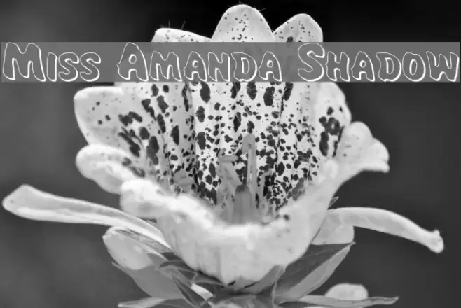 Miss Amanda Shadow Font examples