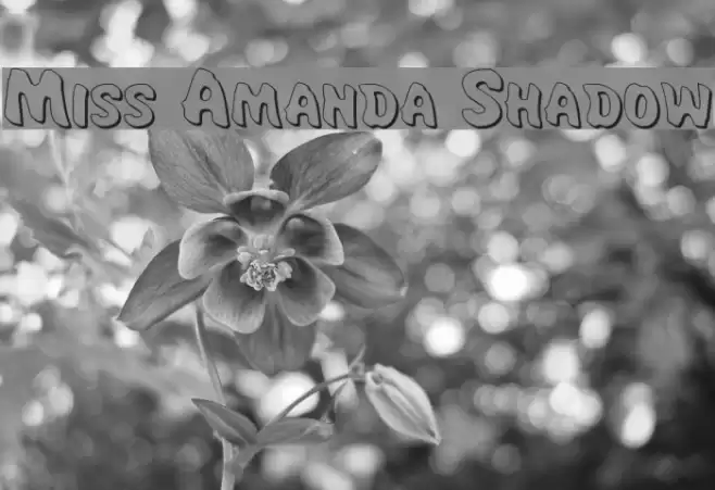 Miss Amanda Shadow Font examples