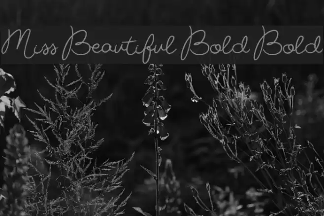 Miss Beautiful Bold Bold Font examples