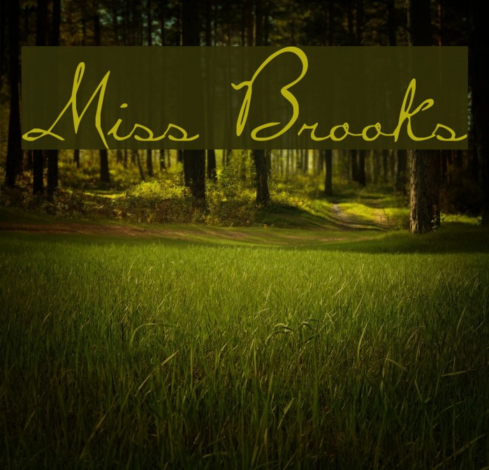 Miss Brooks Schriftart examples