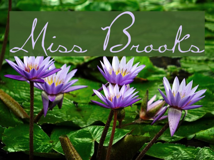 Miss Brooks Schriftart examples