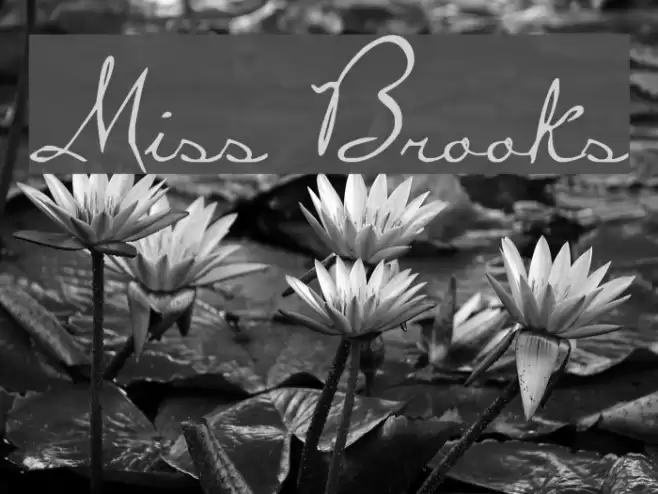 Miss Brooks Schriftart examples