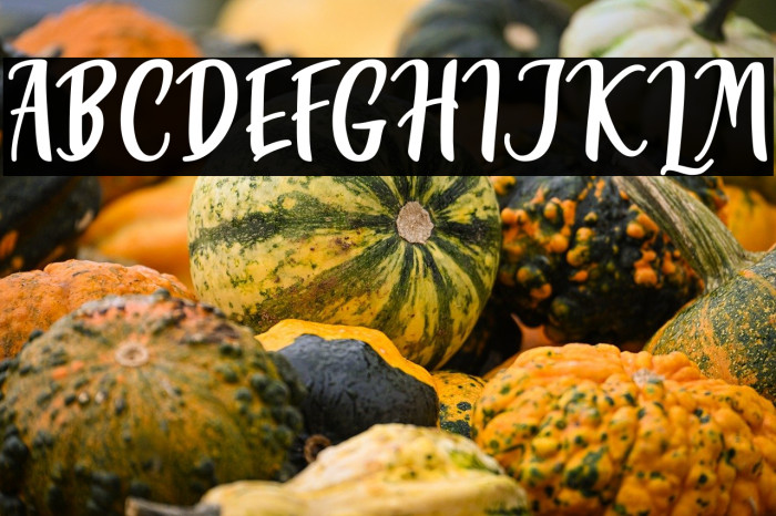 Miss Clara Example 1