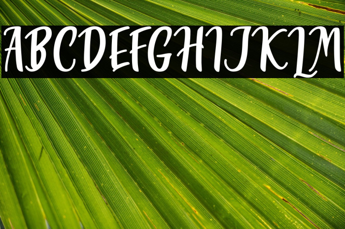 Miss Clara Example 3