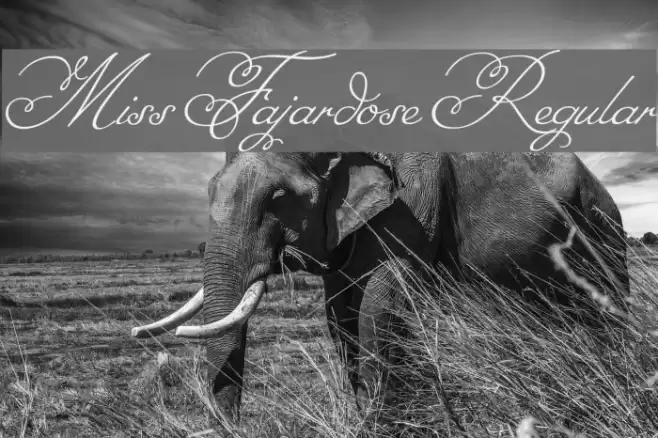 Miss Fajardose Regular Font examples