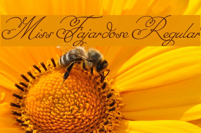 Miss Fajardose Regular Font examples