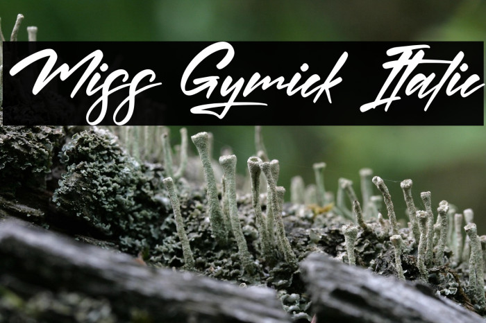 Miss Gymick Italic Example 2