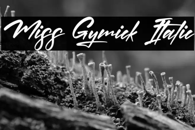 Miss Gymick Italic Schriftart examples