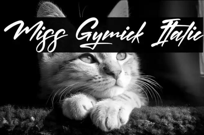 Miss Gymick Italic Schriftart examples