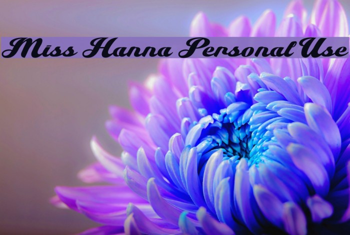 Miss Hanna Personal Use Example 1