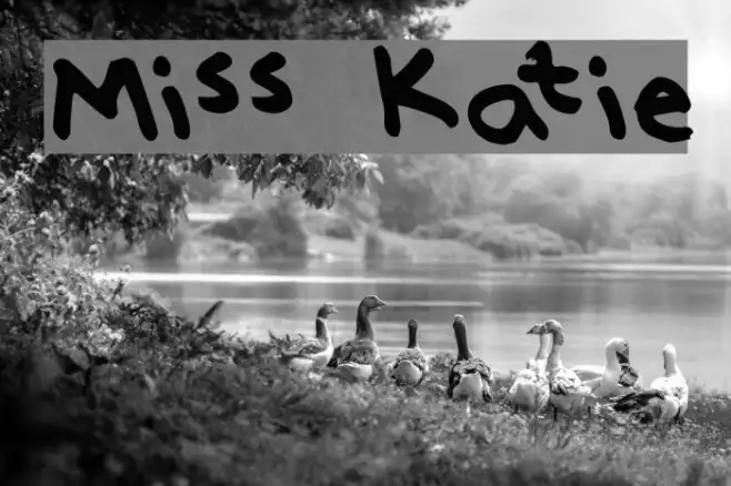 Miss Katie Example 1