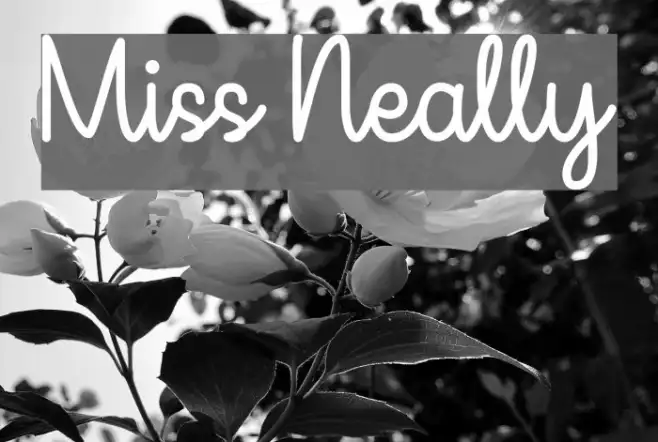 Miss Neally Example 3