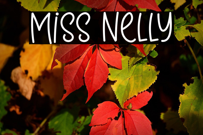 Miss Nelly Example 2