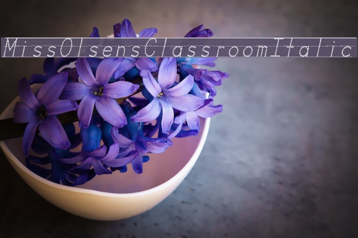 Miss Olsen's Classroom Italic Example 2