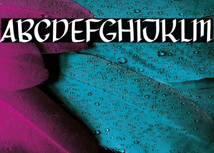 Miss Queen Example 1