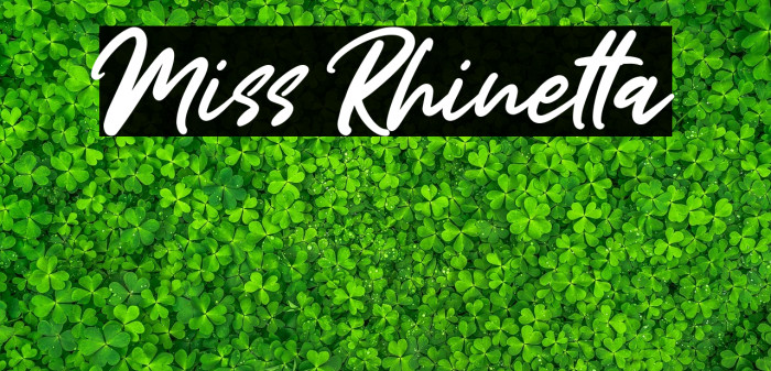 Miss Rhinetta Example 1