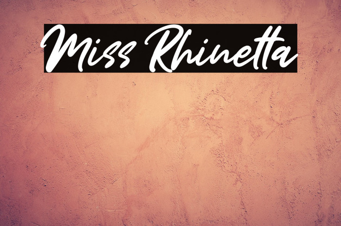 Miss Rhinetta Example 3