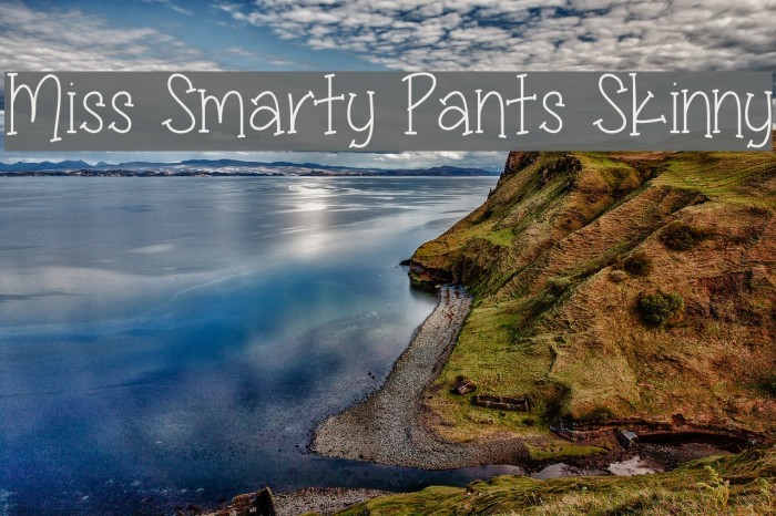 Miss Smarty Pants Skinny Font examples