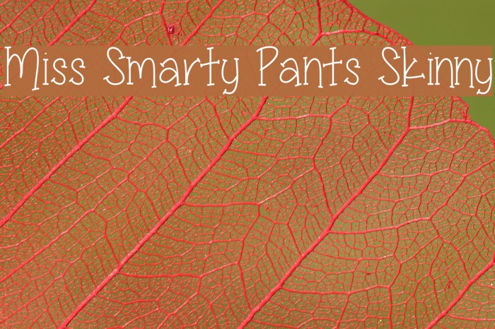 Miss Smarty Pants Skinny Font examples