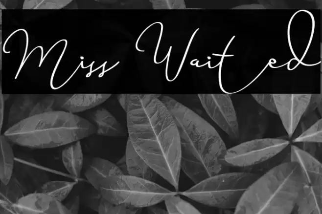 Miss Waited Font examples