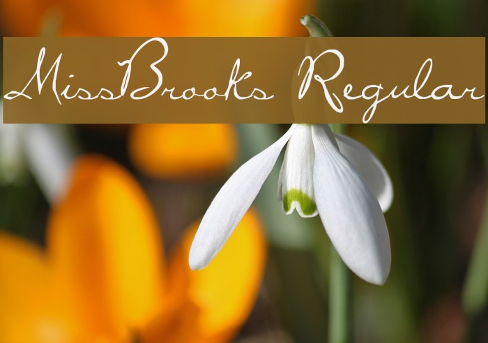 MissBrooks Regular Example 3