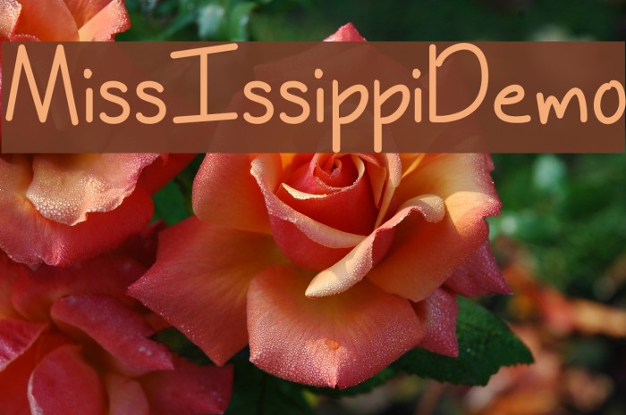 MissIssippiDemo Example 3