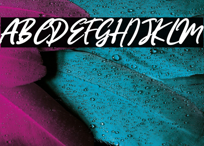 MissRhinetta Example 2