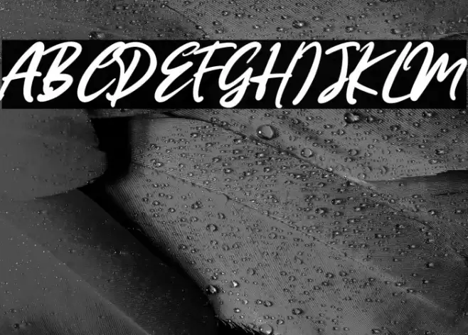 MissRhinetta Font examples