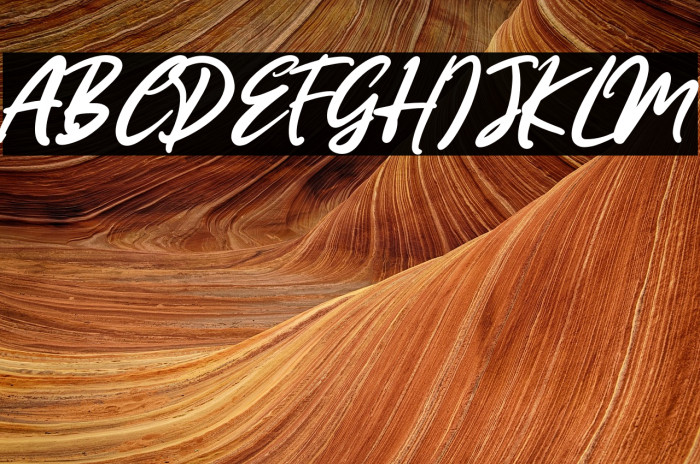 MissRhinetta Example 3