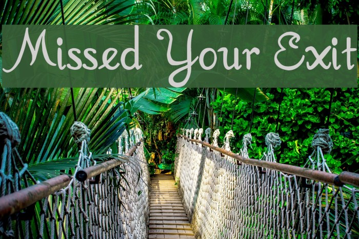 Missed Your Exit Font examples
