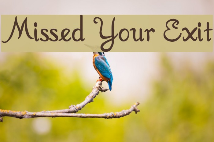 Missed Your Exit Font examples