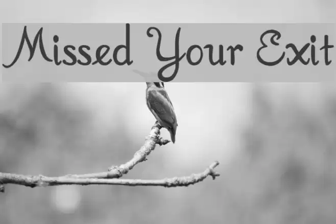 Missed Your Exit Шрифта examples
