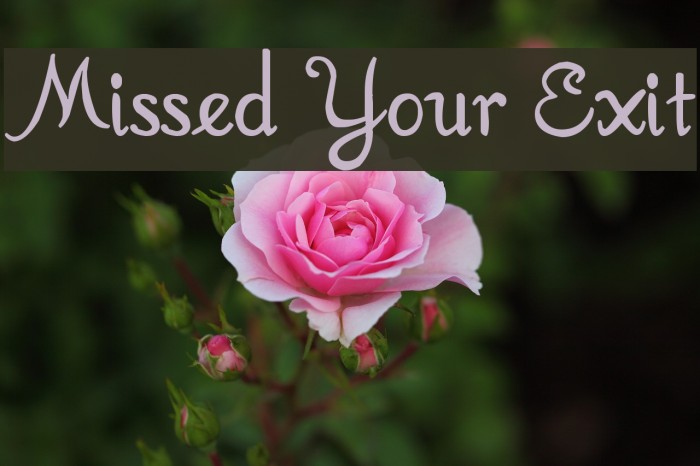 Missed Your Exit Font examples