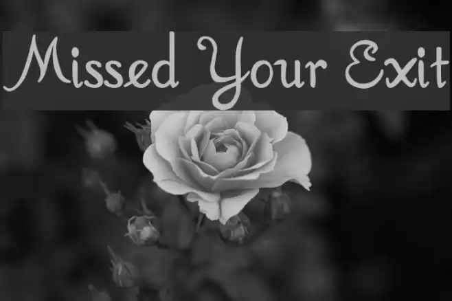 Missed Your Exit Шрифта examples