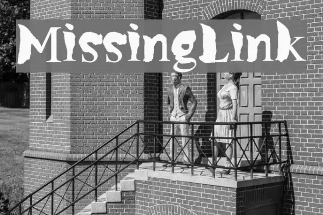 MissingLink Example 1