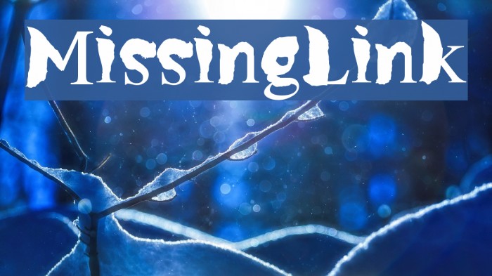MissingLink Font examples