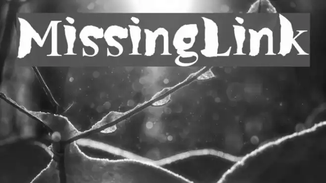 MissingLink Example 2