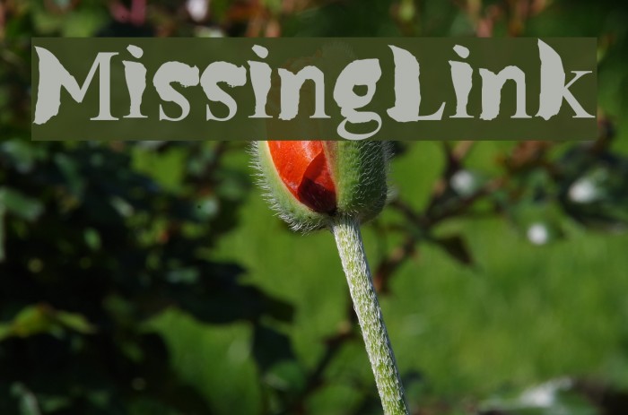 MissingLink Font examples