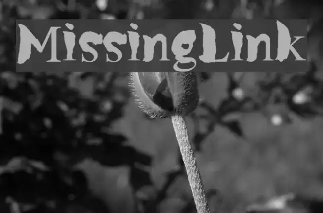 MissingLink Example 3