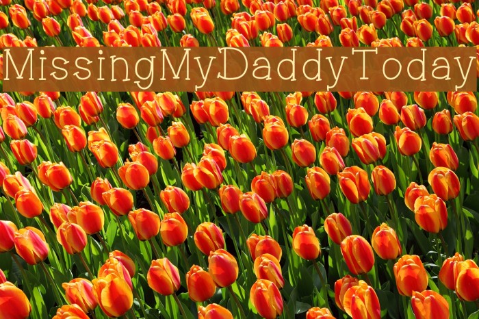 MissingMyDaddyToday Font examples