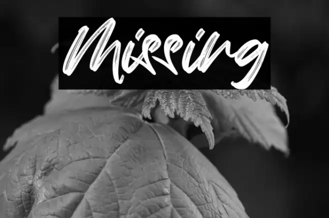 Missing Font examples