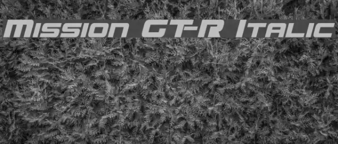 Mission GT-R Italic examples