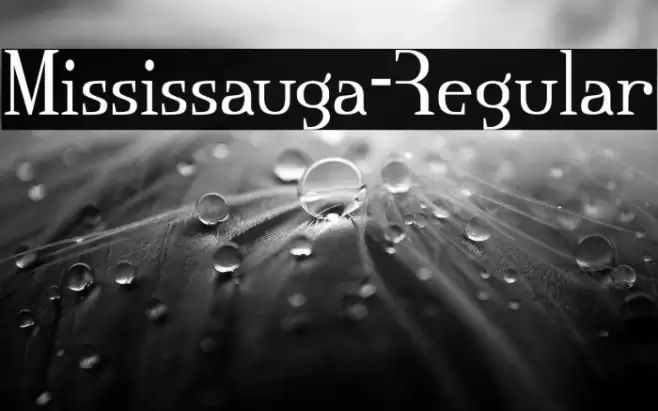 Mississauga-Regular Font examples
