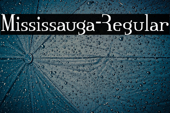 Mississauga-Regular Example 2
