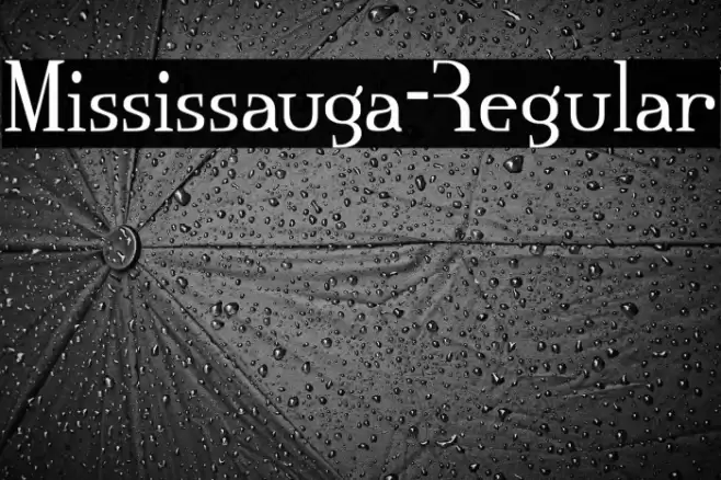 Mississauga-Regular Font examples