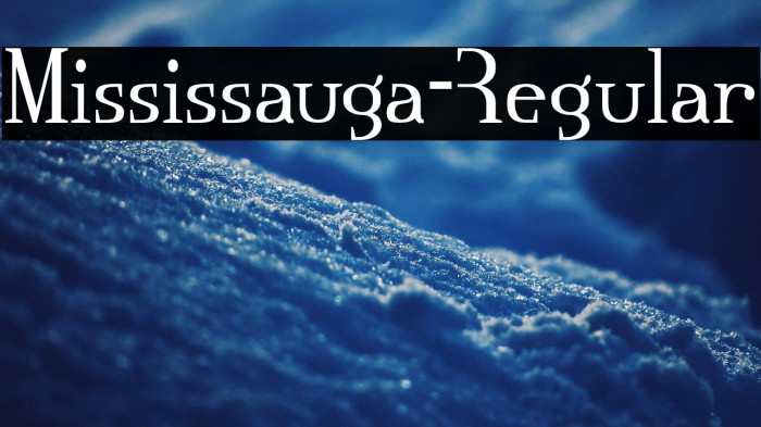 Mississauga-Regular Example 3
