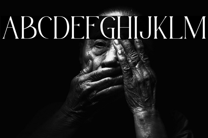 Misslena Personal use Example 1